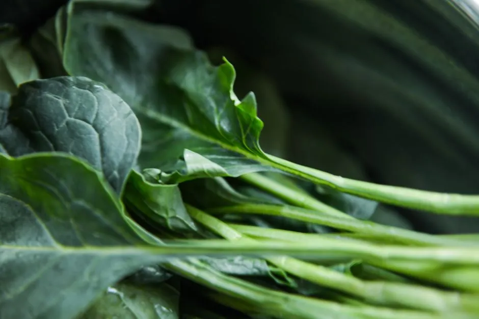 Collard Greens Without Meat: A Bright Braised Version